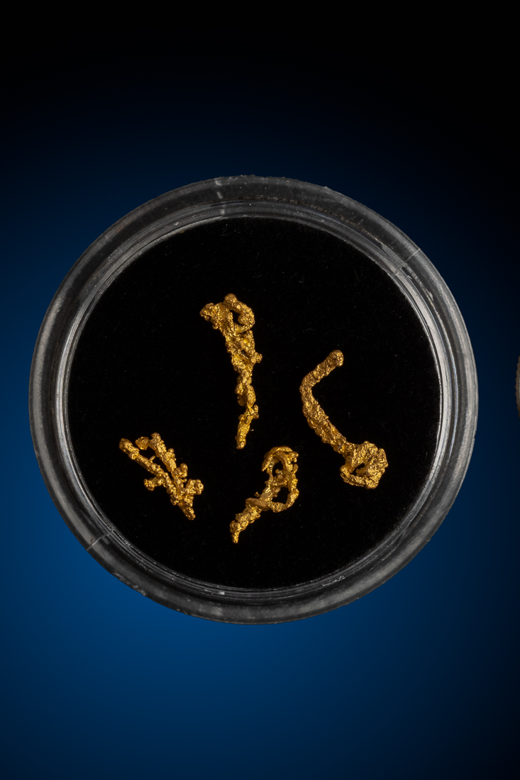 Four Brilliant Rare Wire Gold Specimens - New Zealand (image for) Four Brilliant Rare Wire Gold Specimens - New Zealand